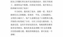 20年后回故乡作文600字