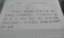 节日习俗作文450字
