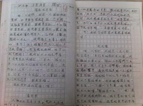 春季郊游组成
