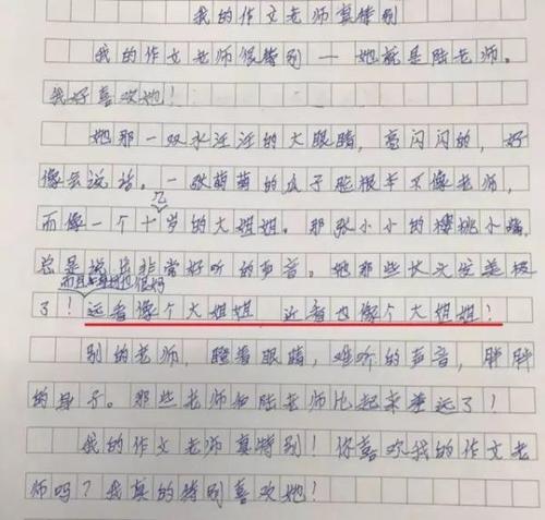 四年级作文妈妈的眼睛