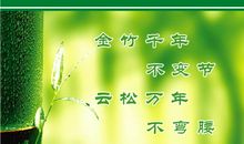 老师廉洁自律读后感