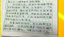 献给妈妈的歌作文