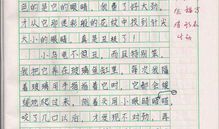 习作：我的老师