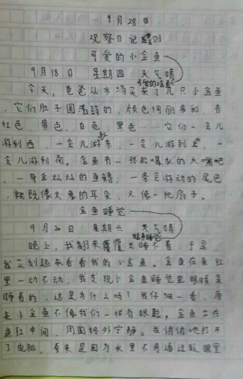 三年级学生入选