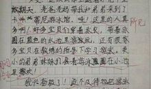 关于游泳的作文500字