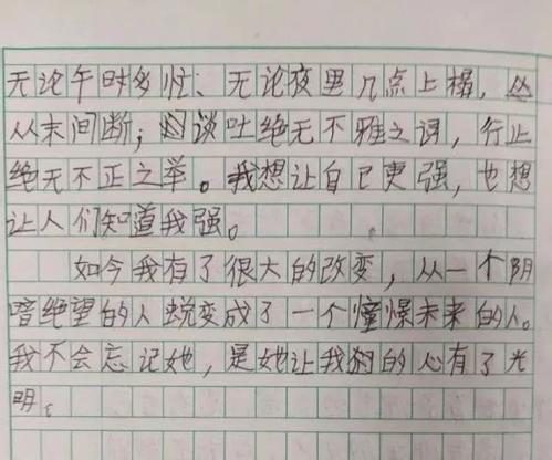我眼中的世界组成