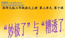 妙极了与糟透了读后感