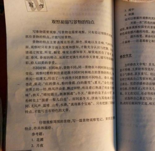 关于灯组成的400个字