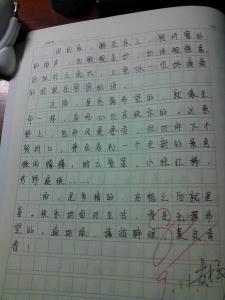 800字考试作文