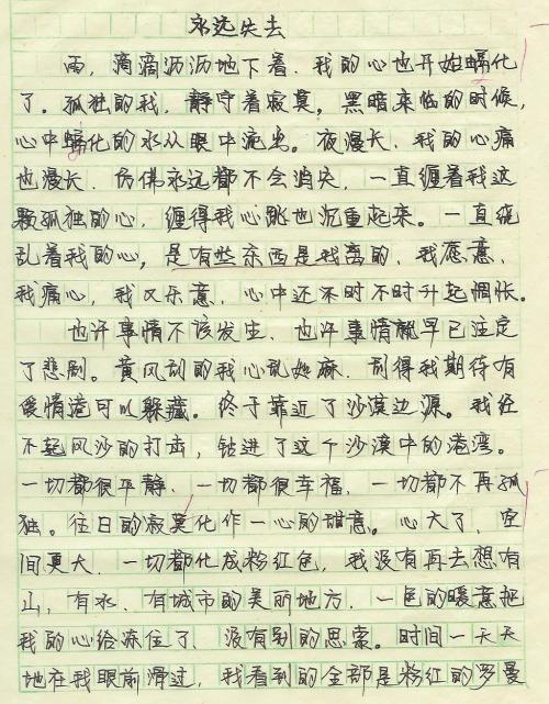 500字考试作文