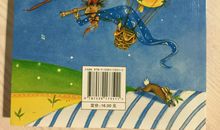 《彩乌鸦系列—香草女巫》读后感