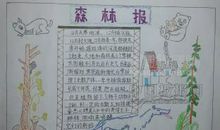 《森林报夏》读后感