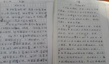 周末作文800字