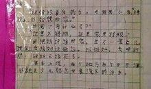 初二作文开学第一天