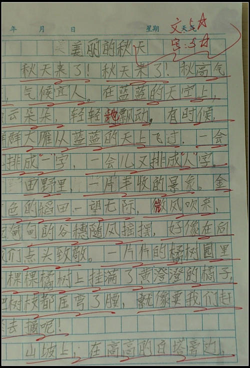 严谨的三年级母亲