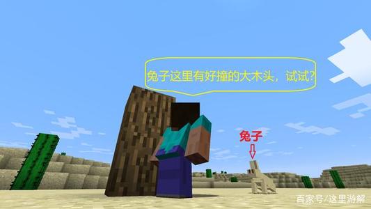 等待兔子的启示