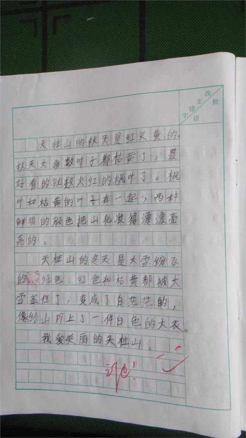 想象一下未来的构图800字