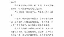 未来的家乡300字