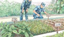 《美丽的西沙群岛》读后感