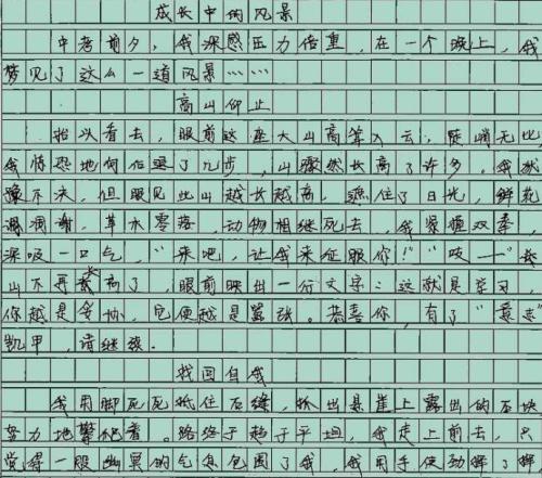 妈妈800字