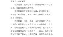 几分温暖在心头作文