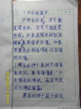故乡组成十年