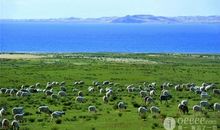 如何在遥远的城市找到一份工作