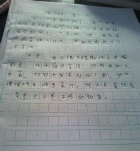 什么是第一成分