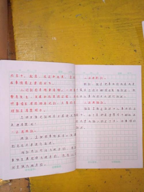 初中作文作文600字