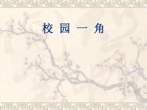 校园500字