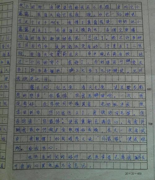 小学二年级上册