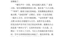 假期里的一件事作文400字