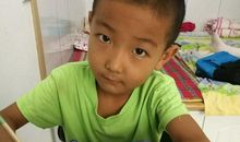 小猪历险记作文