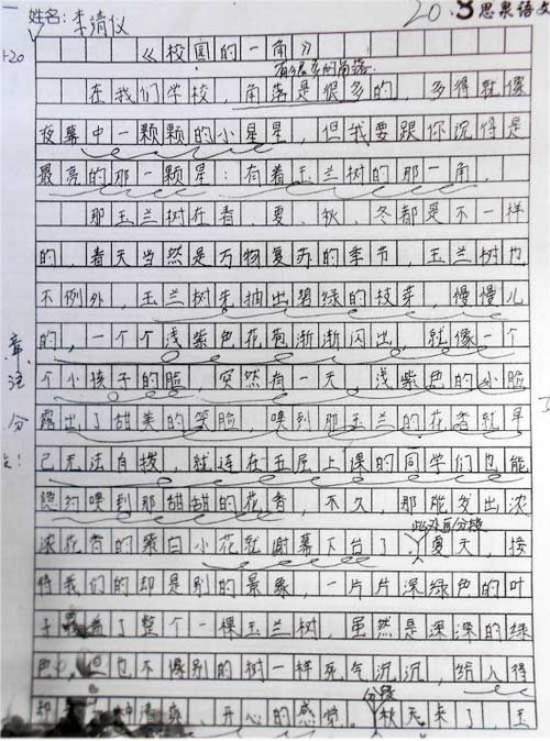 校园500字