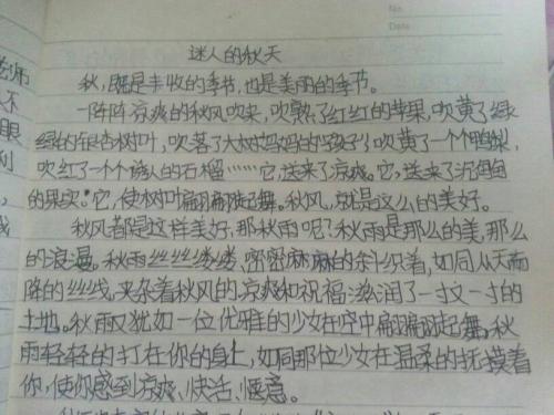 秋场组成