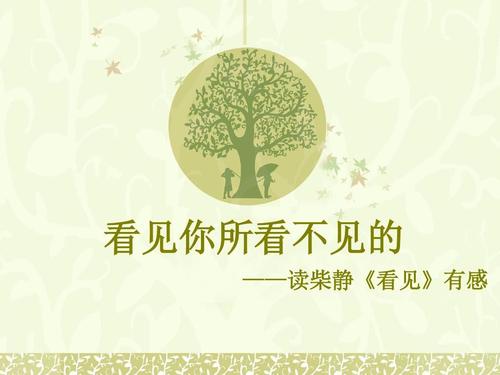 柴静看了1000字