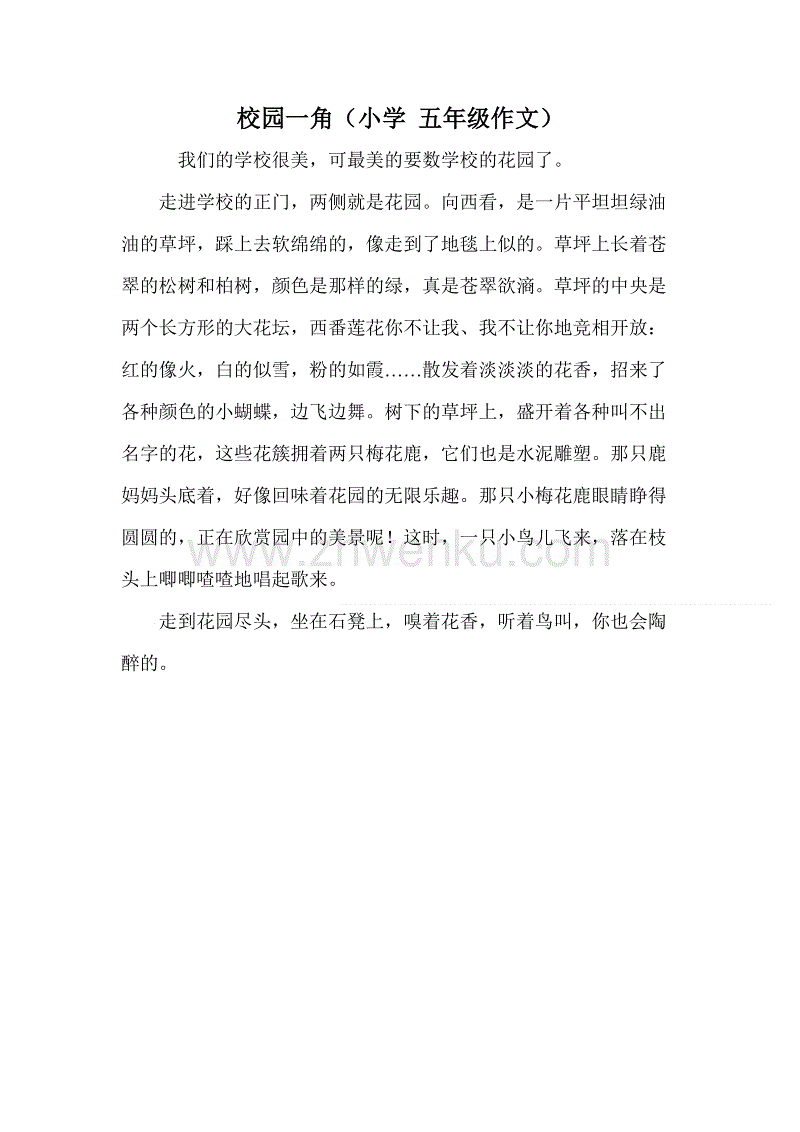 校园一角组成600字