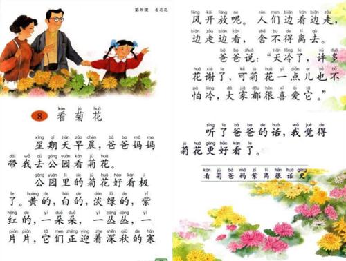见菊花组成