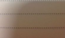 校园一角作文450字