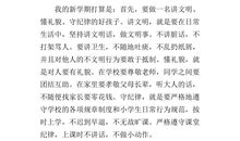 新学期打算作文400字