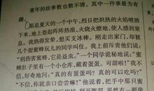 新年趣事作文300字