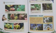 《荒野求生》读后感