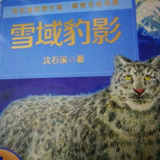 雪豹的后果