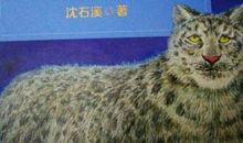 雪域豹影读后感