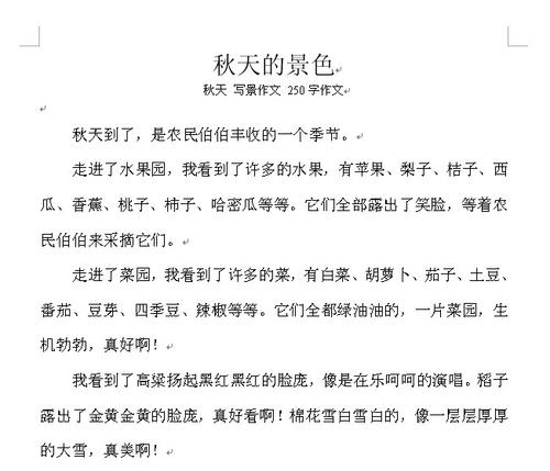 他出色的作文300字