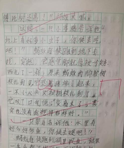 他出色的作文400字