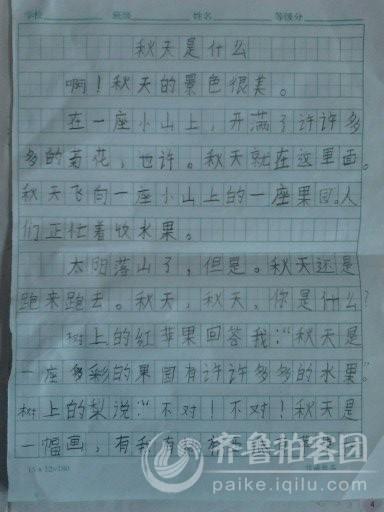 风筝组成