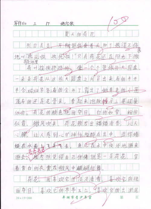 写妈妈的作文