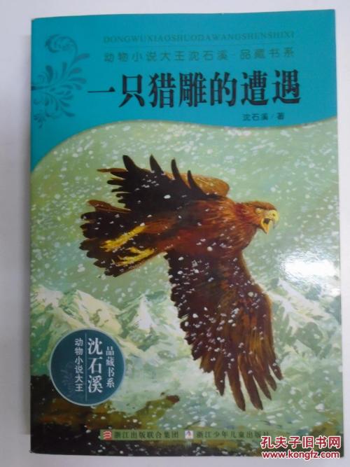 猎鹰的经验