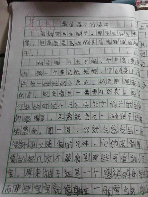 我的家庭作文400字